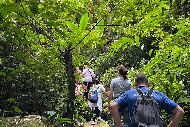 One Day Trekking Chiang Rai Jungle Adventure and Bamboo Cooking - Starting near Pha Soet at 9:00 a.m.