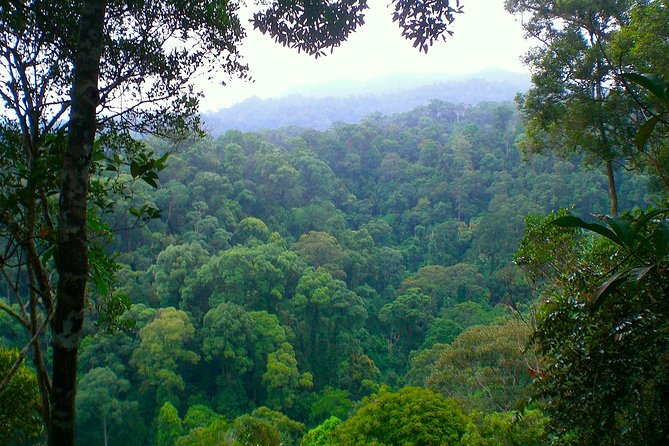 ORANGUTAN TREK (2D/1N) by EcoTravel Bukit Lawang - Getting to Bukit Lawang and Meeting the Team