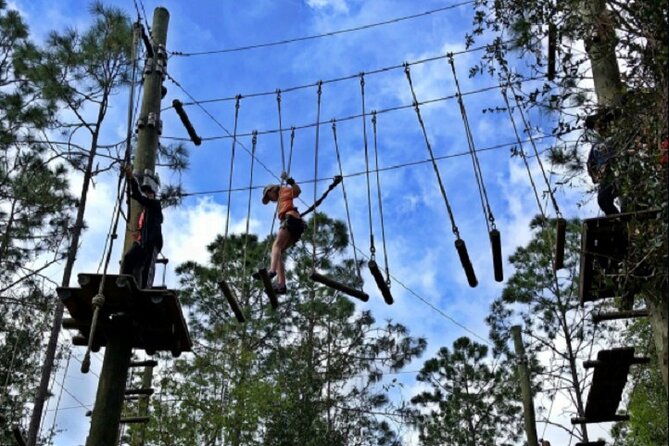 Orlando Tree Trek Adventure Park - Six courses, rising difficulty, and real effort