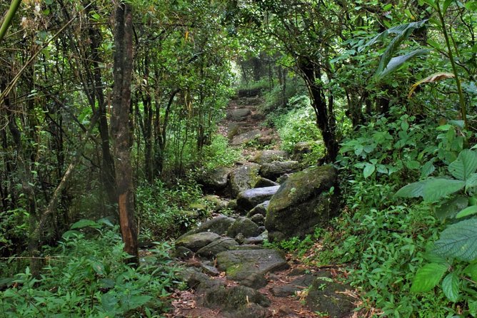 Overnight Adventure Trekking in Knuckles - Key points to know before booking