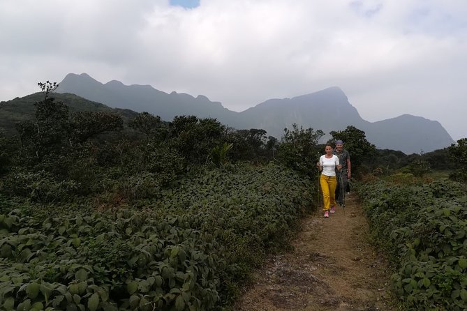 Overnight Adventure Trekking in Knuckles - The guide can shape the whole experience