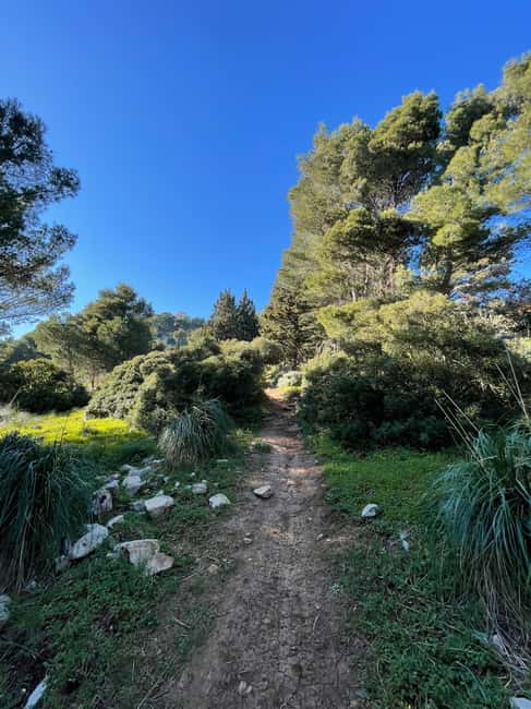 Palermo: Monte Gallo Trekking Tour with Picnic - Three Hours on Monte Gallo’s Trails