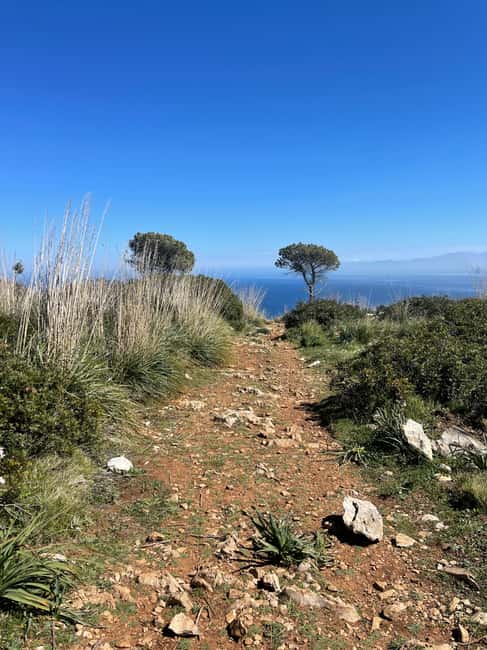 Palermo: Monte Gallo Trekking Tour with Picnic - Who Should Book This Monte Gallo Walk?