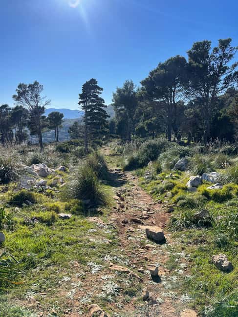 Palermo: Monte Gallo Trekking Tour with Picnic - From Palermo to Pizzo Sella Behind Mondello