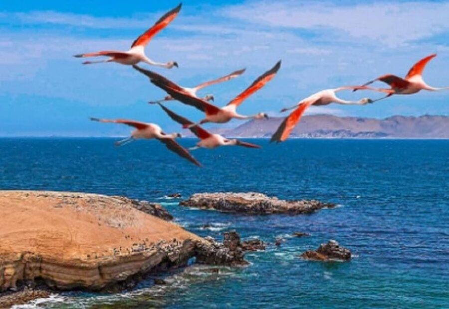 PARACAS|| Sunset trekking in the Paracas National Reserve - Should You Book It?