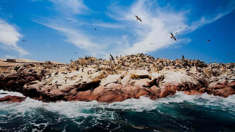 PARACAS|| Sunset trekking in the Paracas National Reserve - Kori Apu and the Story Behind the View