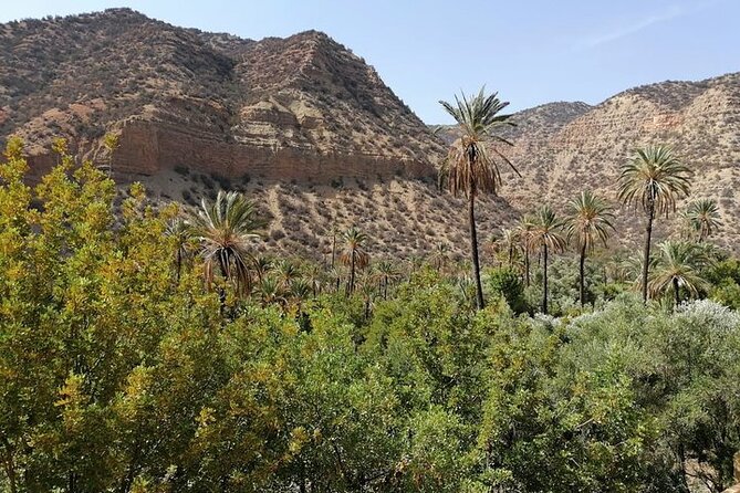 Paradise Valley Trekking - Timing, cancellation, and practical details