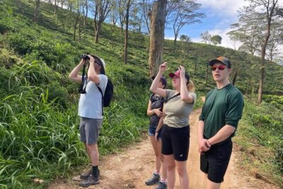 Pekoe Trail Stage 1- Scenic Trek from Hanthana to Galaha