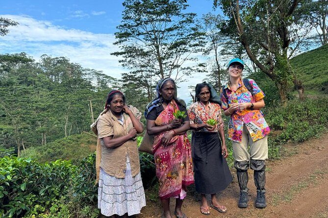 Pekoe Trail Stage 1- Scenic Trek from Hanthana to Galaha - Forest paths, birds, and small wildlife