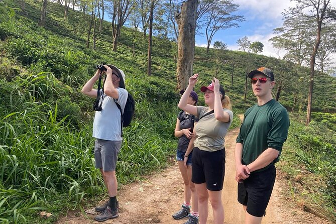 Pekoe Trail Stage 1- Scenic Trek from Hanthana to Galaha - Starting at the Hanthana Mountain Range