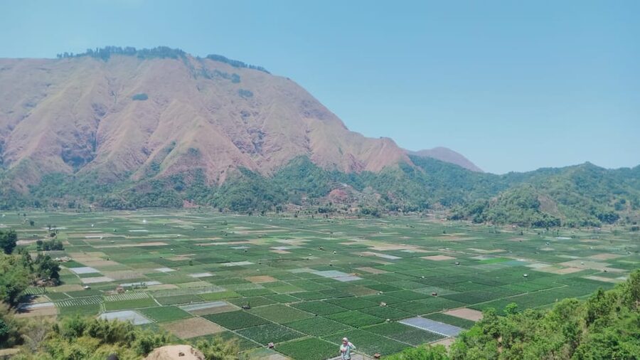 Pergasingan Hill Trek: Unveiling the Beauty of Sembalun - Sam as your guide