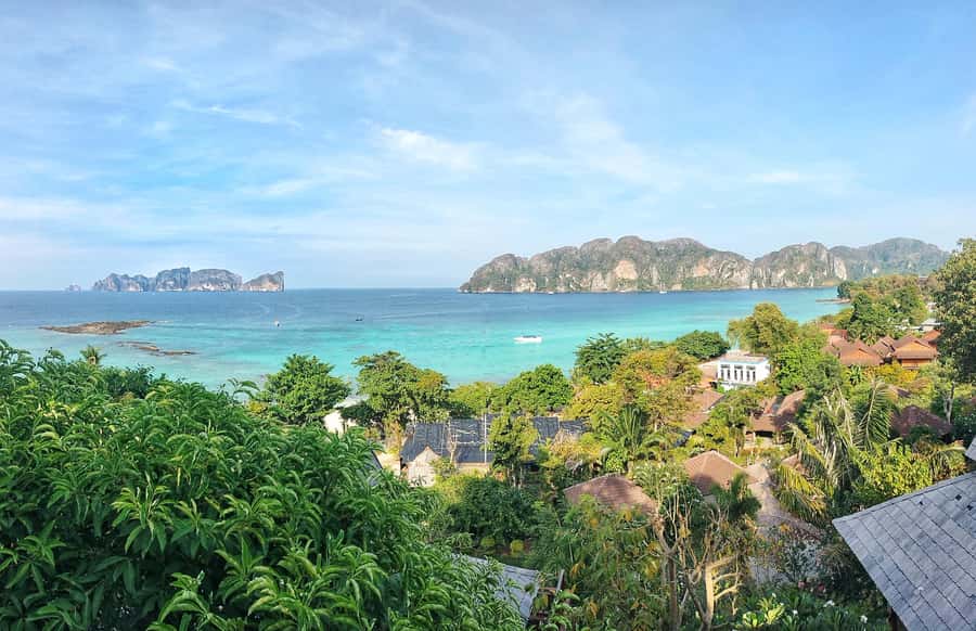 Phi Phi: Guided Jungle Trek & Night Swim with Plankton - Why this tour shows you a different Phi Phi