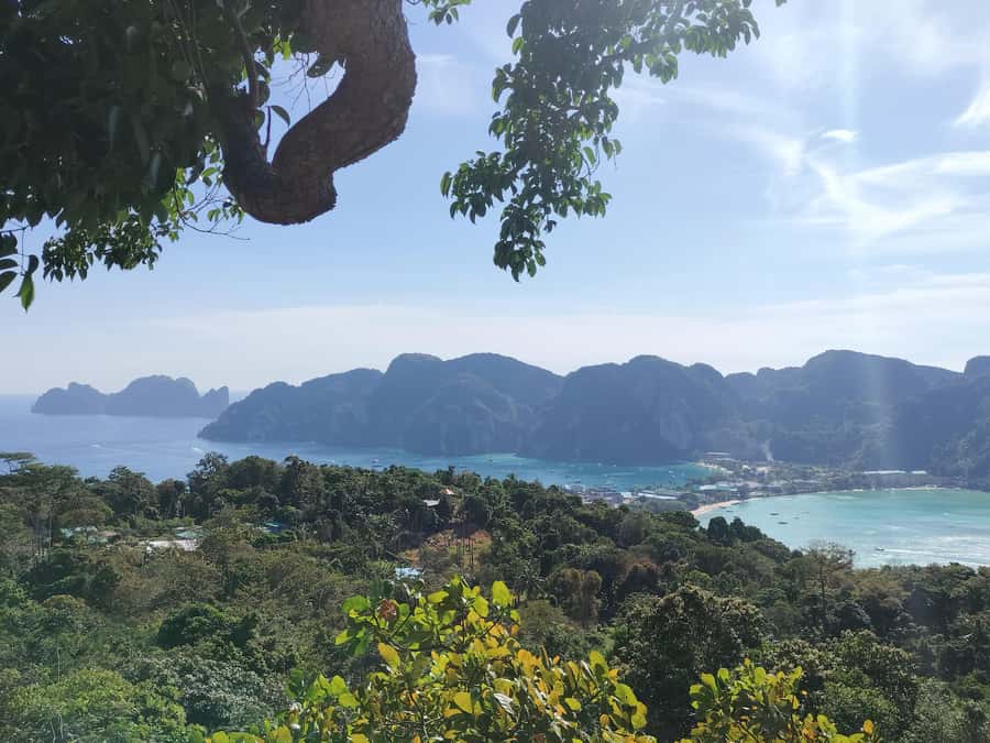 Phi Phi: Guided Jungle Trek & Night Swim with Plankton - What the $68 price includes