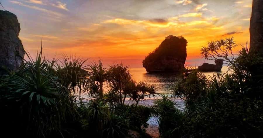 Phi Phi: Guided Jungle Trek & Night Swim with Plankton - Timing, fitness, and what to pack