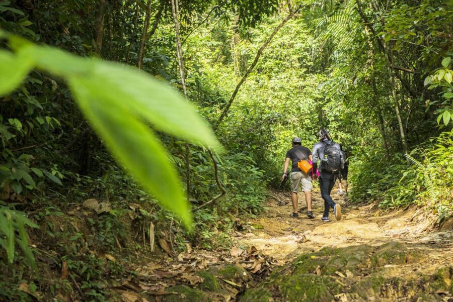 Phuket: Jungle Trekking Experience at Khao Phra Taew - Phuket’s rainforest, not another beach day