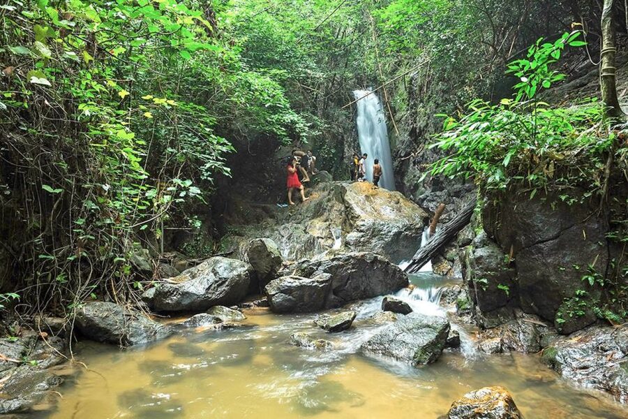 Phuket: Jungle Trekking Experience at Khao Phra Taew - Should you book it?