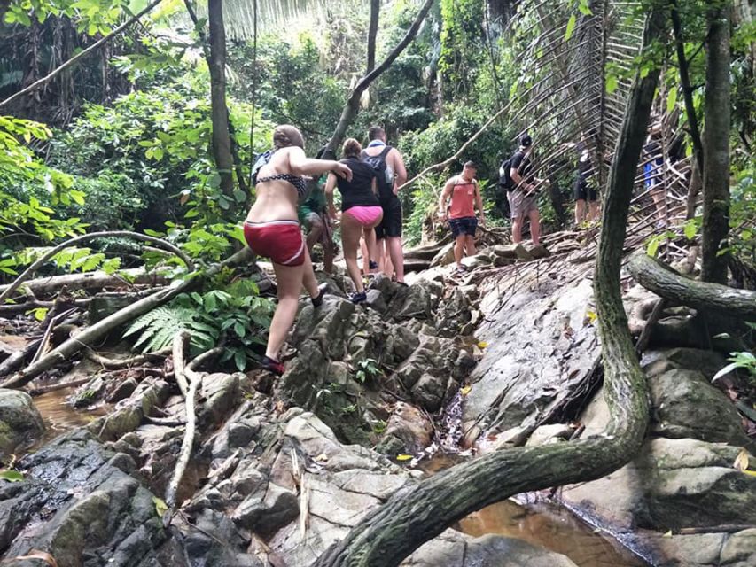 Phuket: Jungle Trekking Experience at Khao Phra Taew - From Ton Sai to Bang Pae on an 8 km trail