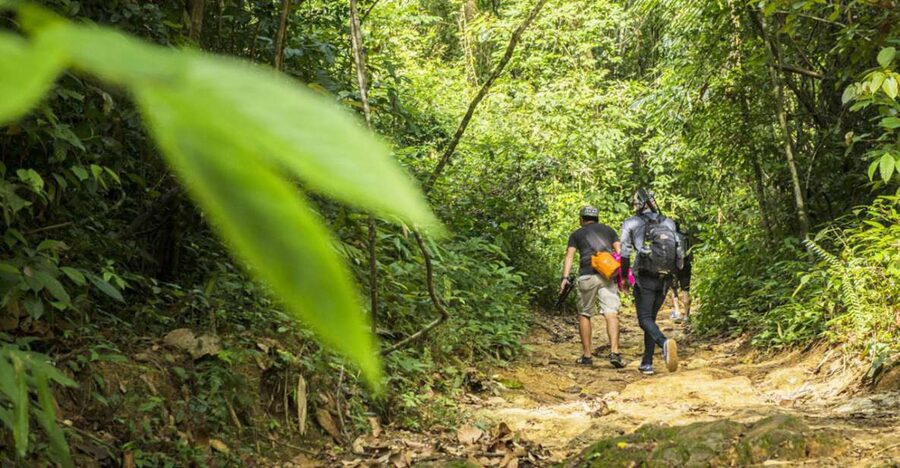 Phuket: Jungle Trekking Experience at Khao Phra Taew - Waterfall breaks and the reality of swimming time