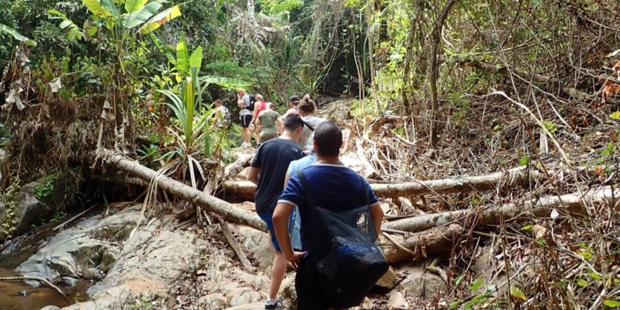 Phuket: Jungle Trekking Experience at Khao Phra Taew - Lunch after the forest walk