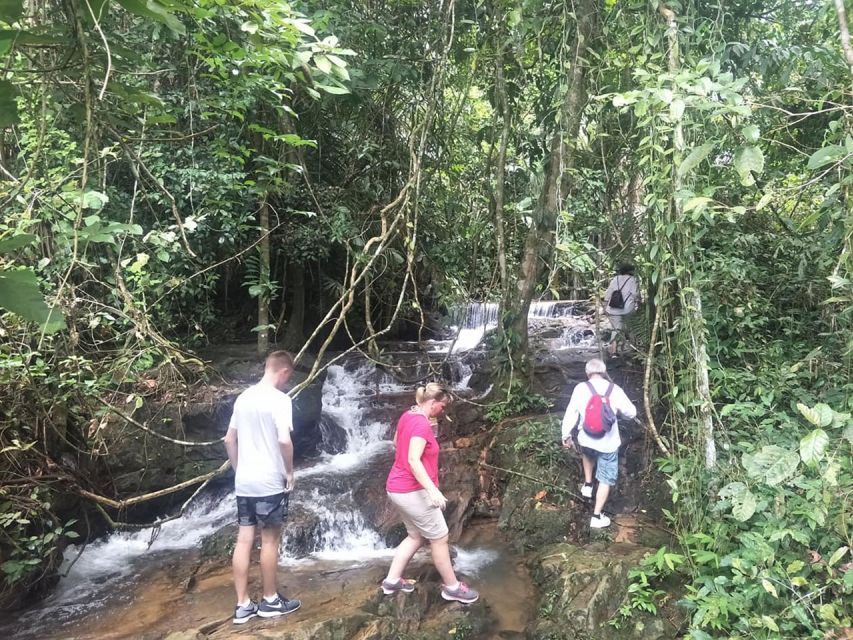 Phuket: Jungle Trekking Experience at Khao Phra Taew - Small groups, transfers, and the $77 price
