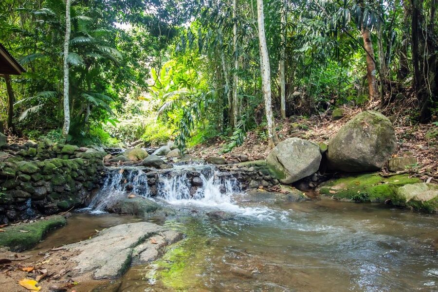 Phuket: Jungle Trekking Experience at Khao Phra Taew - Who will enjoy this Khao Phra Taew outing?