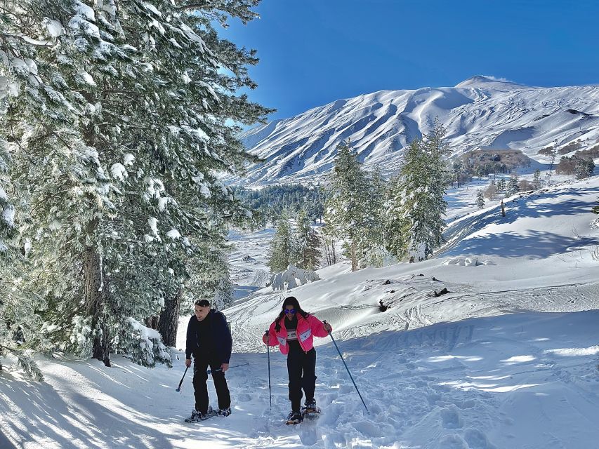 Piano Provenzana: Guided Mt. Etna Snowshoeing Trek - Why this Etna snowshoe walk feels different