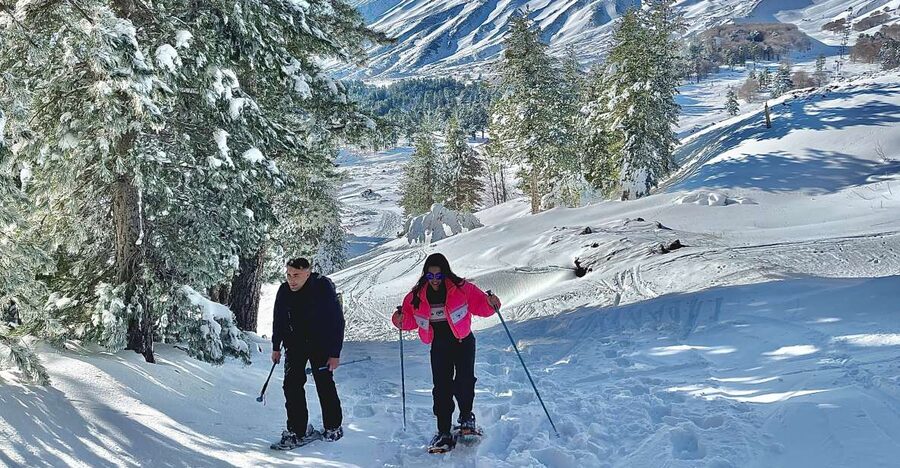 Piano Provenzana: Guided Mt. Etna Snowshoeing Trek - Crossing snowy woods and old lava flows