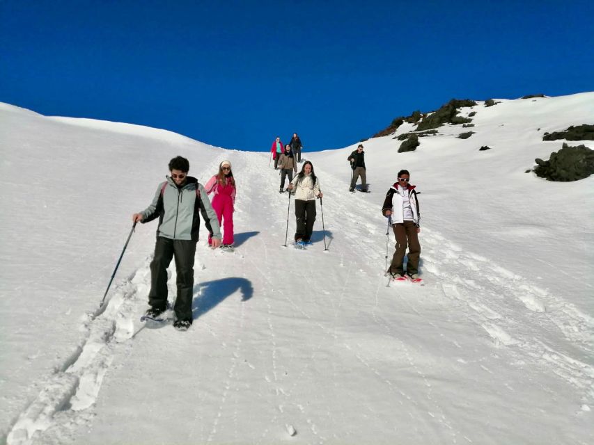 Piano Provenzana: Guided Mt. Etna Snowshoeing Trek - The 2,200-meter side craters and the big view