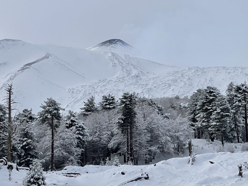Piano Provenzana: Guided Mt. Etna Snowshoeing Trek - What the three-hour schedule feels like