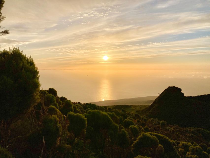Pico Mountain Climb: Your Path to Portugal’s Highest Point - Through Pico’s native plants and volcanic rock