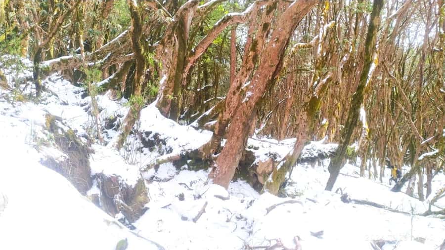 Pkr. Backpacker Group Dep.: 4 Day Mardi Himal Base Camp Trek - What the $181 price really covers