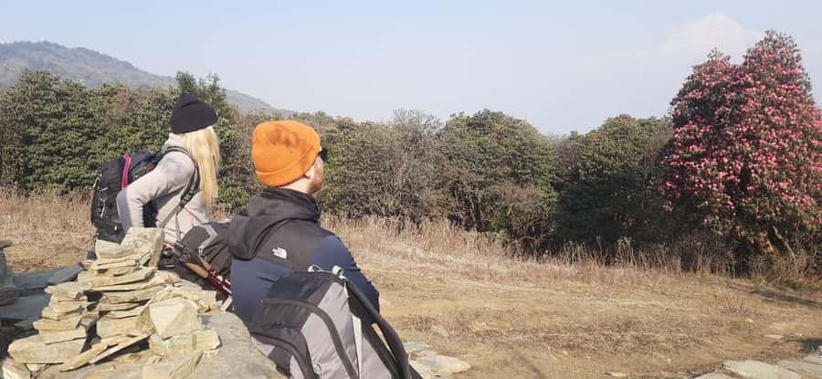 Pkr. Backpacker Group Dep.: 4 Day Mardi Himal Base Camp Trek - What to pack and when to go
