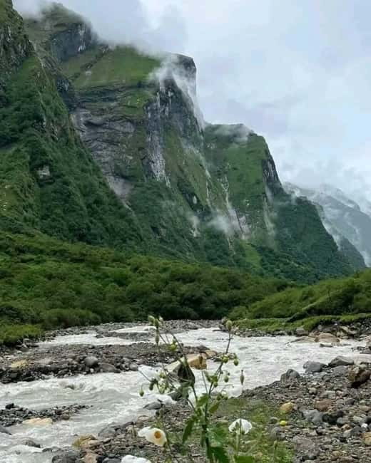 Pkr/Kathmandu: 5-Day Annapurna Base Camp & Hot spring Trek - Day 3: Machhapuchare Base Camp to Annapurna Base Camp