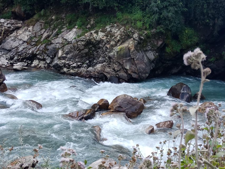 Pokhara: 3-Day Ghorepani, Poon Hill and Ghandruk Guided Trek - Day two: Poon Hill sunrise and the descent to Ghandruk