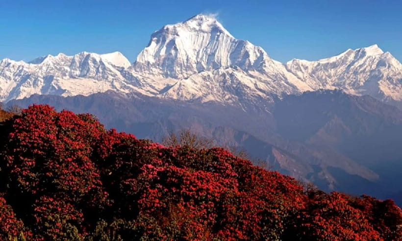 Pokhara: 3-Day Ghorephani and Poon Hill Private Trek - What the $126 price really covers