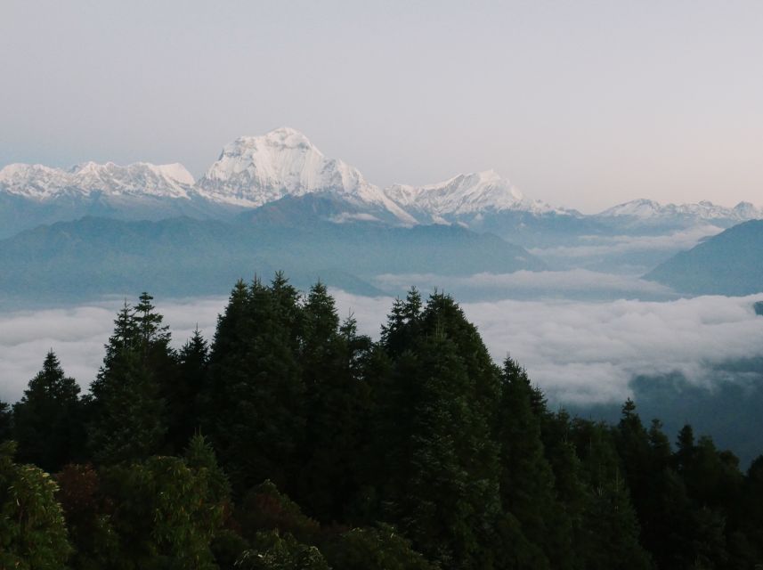 Pokhara:4-Day Ghorepani Poon Hill Guided Trek via Ghandruk - A final morning in Ghandruk and the return to Pokhara