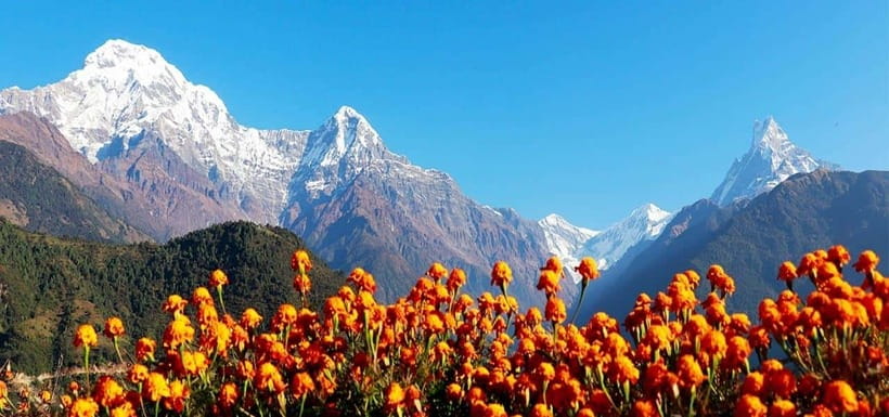 Pokhara: 4-Day Ghorepani, Poonhill & Ghandruk Mountain Trek - The early Poon Hill climb and sunrise