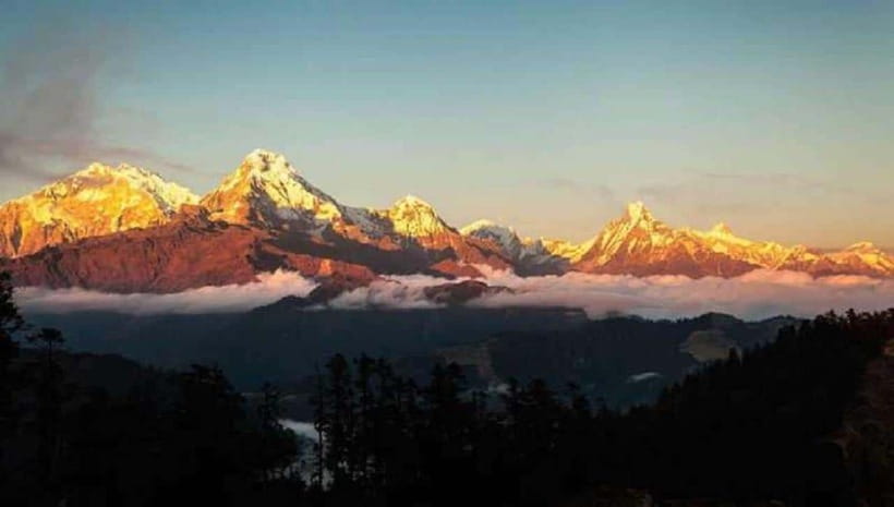 Pokhara: 4-Day Ghorepani, Poonhill & Ghandruk Mountain Trek - Rhododendron forest and the road to Ghorepani