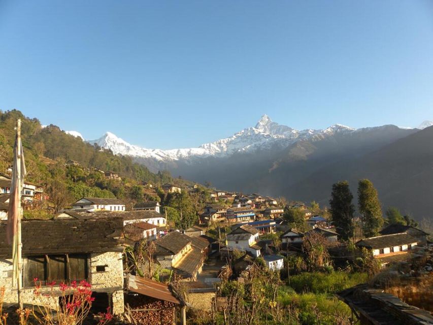 Pokhara: 4-Day Ghorepani, Poonhill & Ghandruk Village Trek - Day 3: Poonhill sunrise and the descent to Ghandruk