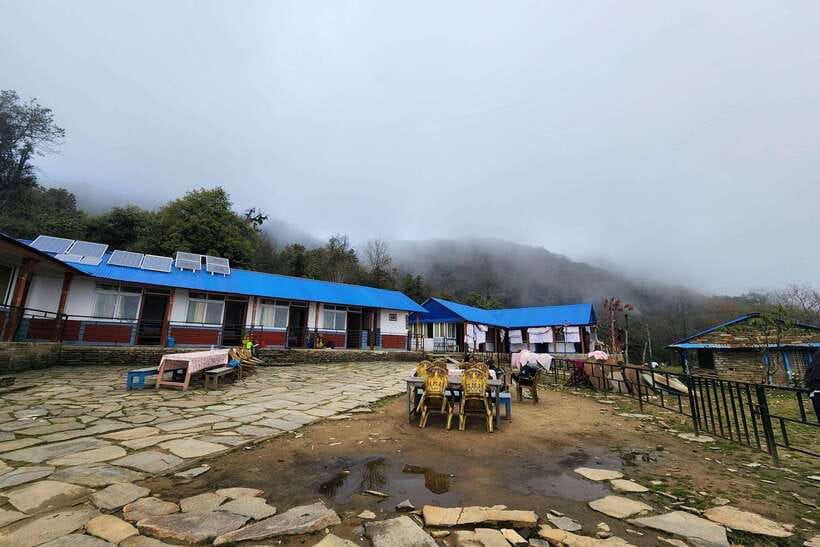 Pokhara: 4-Day Mardi Himal Trek - Tea houses, food, and local contact