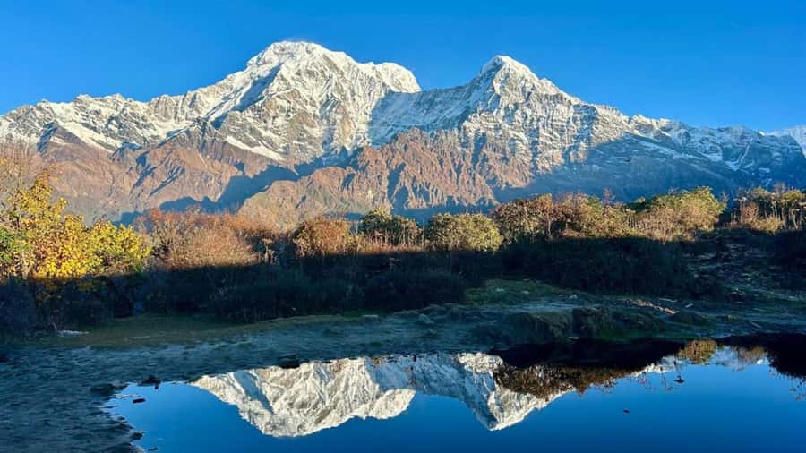 Pokhara: 4-Day Mesmerizing Mardi Himal Guided Trek - Day 2: Forest Camp to High Camp at 4,000 meters