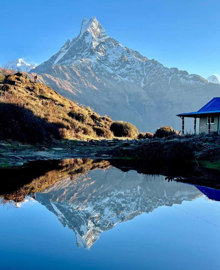 Pokhara: 4-Day Mesmerizing Mardi Himal Guided Trek - Day 3: The 4,300-meter viewpoint and the descent to Low Camp