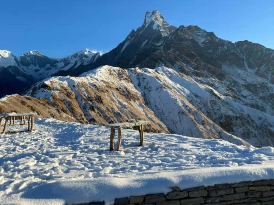 Pokhara: 4-Day Mesmerizing Mardi Himal Guided Trek - Guides, private groups, and the human side of the trek