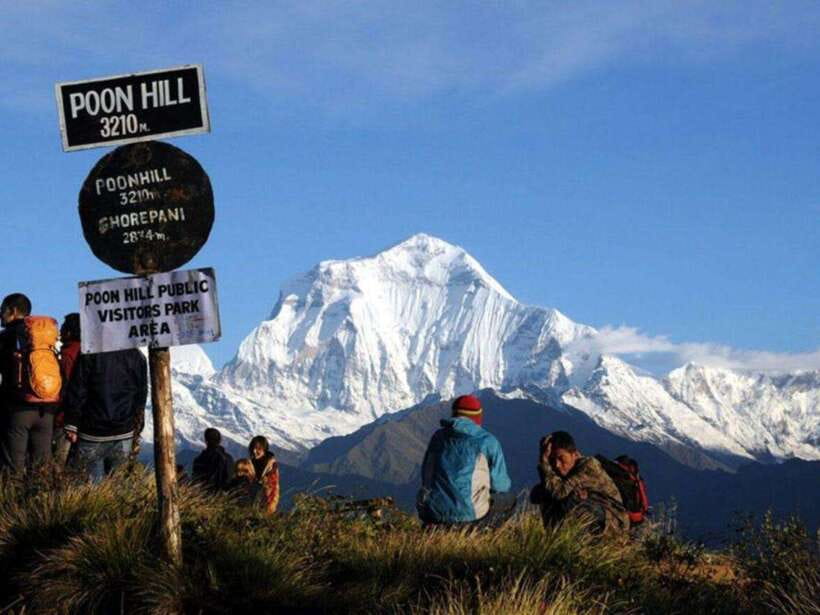 Pokhara: 4-Day Poon Hill and Ghandruk Guided Trek - Day two: Rhododendron forest and Ghorepani