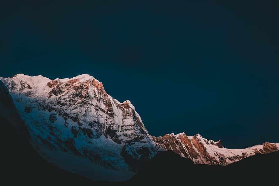 Pokhara: 5 Day Annapurna Base Camp Trek & Natural Hot Spring - Day 4: Annapurna Base Camp to Bamboo
