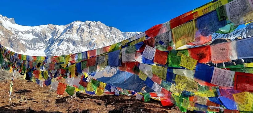 Pokhara: 5-Day Annapurna Base Camp Trek with Hot Spring - Day 5: Jhinu Dada hot springs and the ride back