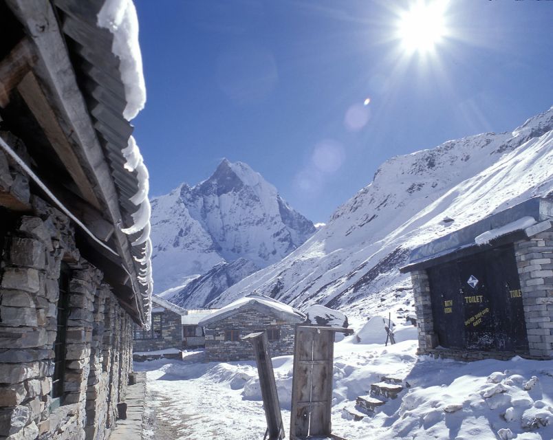 Pokhara: 5-Day Trek to Annapurna Base Camp and Hot Springs - Day two: Sinuwa to Deurali through forest