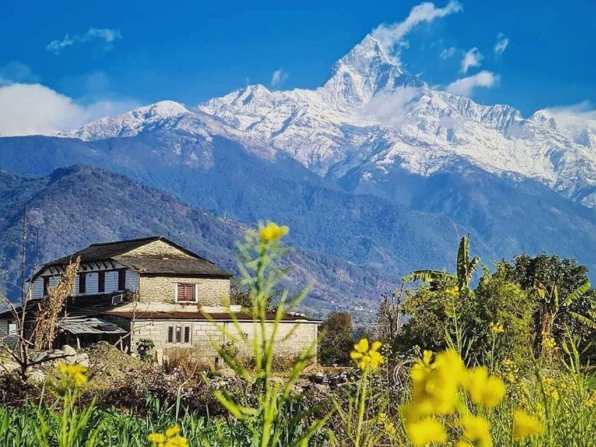 Pokhara: 9-Day Annapurna Base Camp Trek with Poon Hill - Day 8: Bamboo to Jhinu Dada and the hot spring