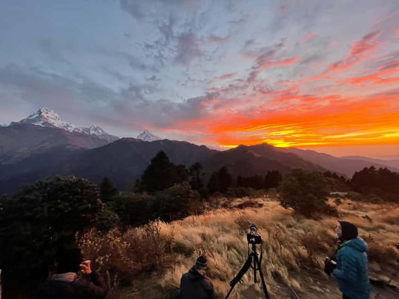 Pokhara: 9-Day Annapurna Base Camp Trek with Poon Hill - Day 3: Poon Hill sunrise, Tadapani, and Chuile