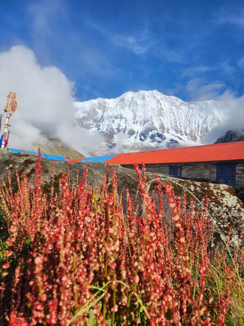 Pokhara: 9-Day Annapurna Base Camp Trek with Poon Hill - Day 5: Sinuwa to Deurali at 3,200 meters